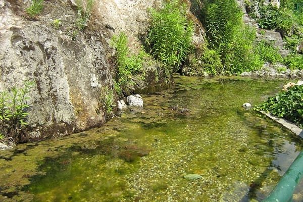 Csillaghegyi Bades