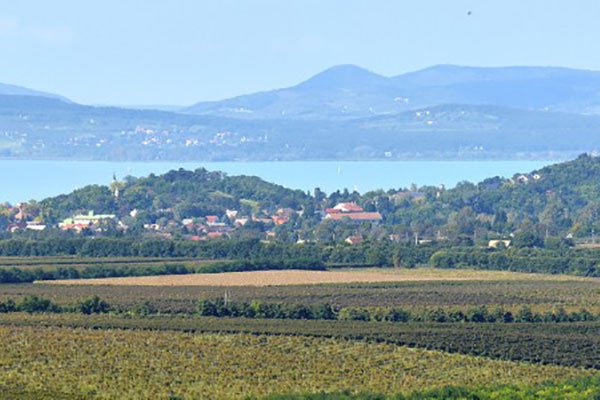 Balatonboglarere Winegebiet