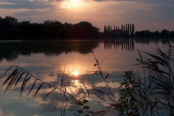 Cseke lake