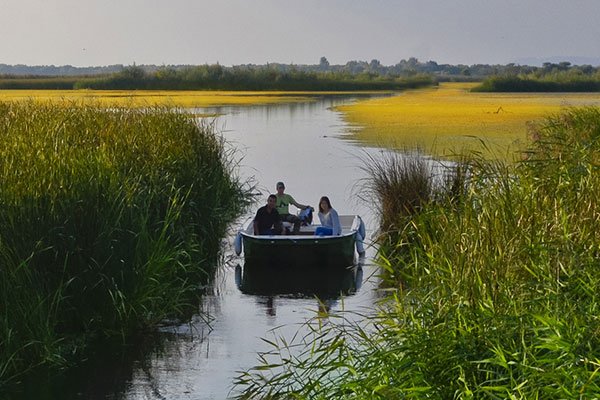 Tisza-tavi TÚRAKÖZPONT Hálózat