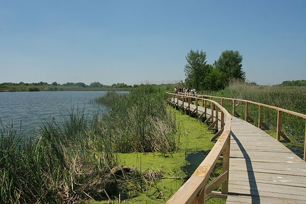 Tisza-tavi Vízi Sétány és Tanösvény