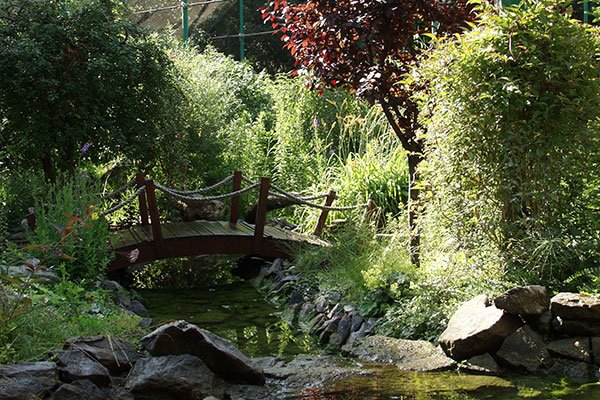 Zoo Garten