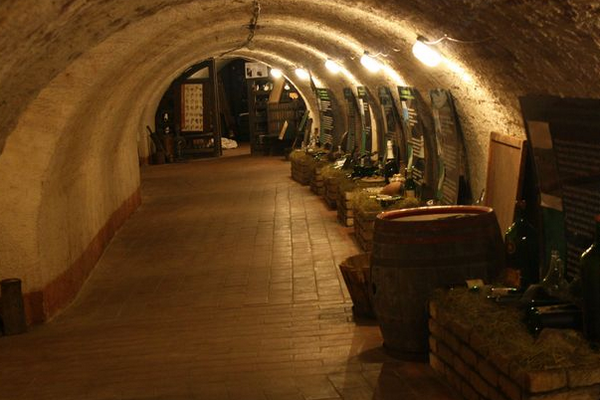 The National Wine Museum