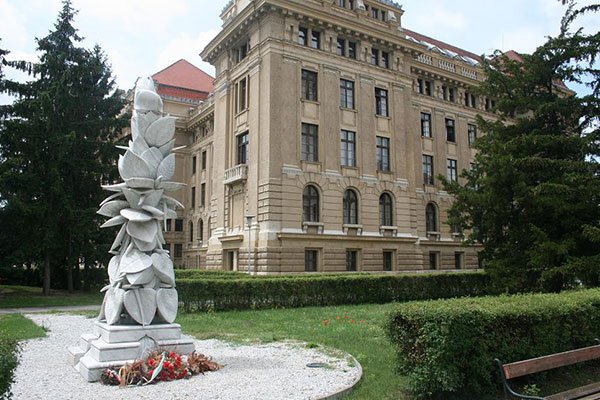 Die weiße Rose der Revolution von 1956