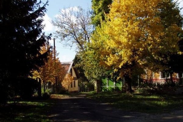 Kőszegdoroszló