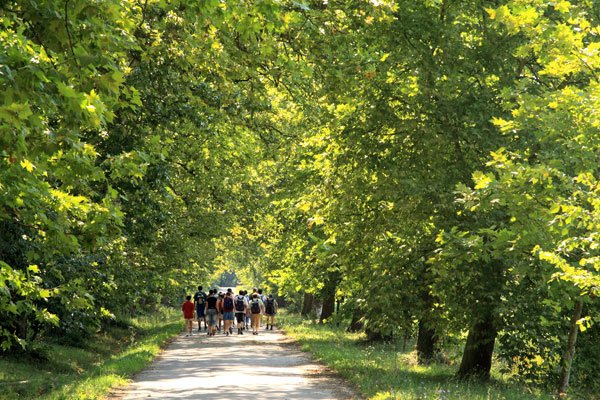 Mecsek Forest Park