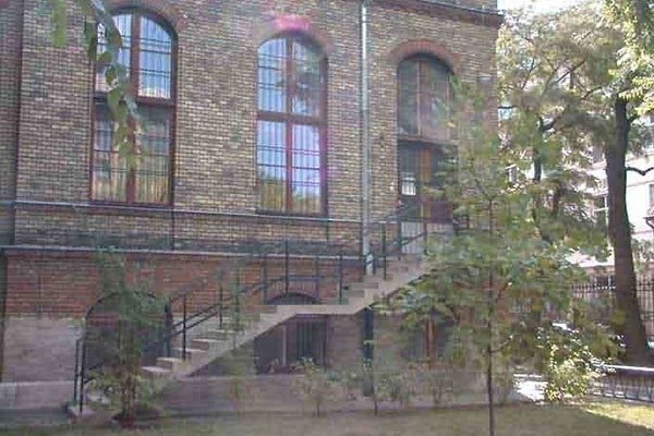 Anatómiai Múzeum