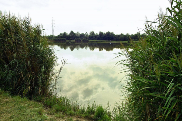 Lake Palotaváros