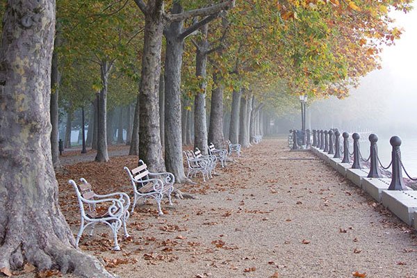 Promenade Tagore