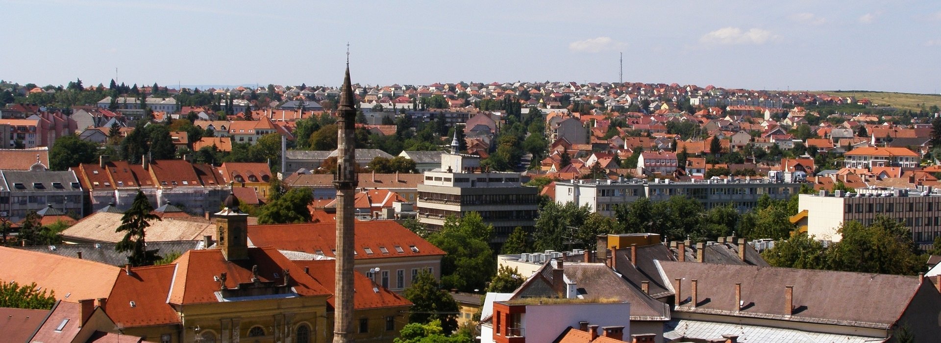Térkép