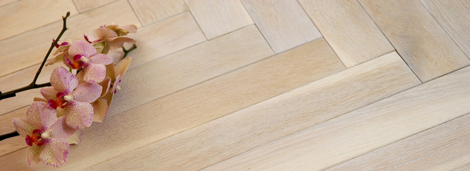 Hardwood shops in Budapest