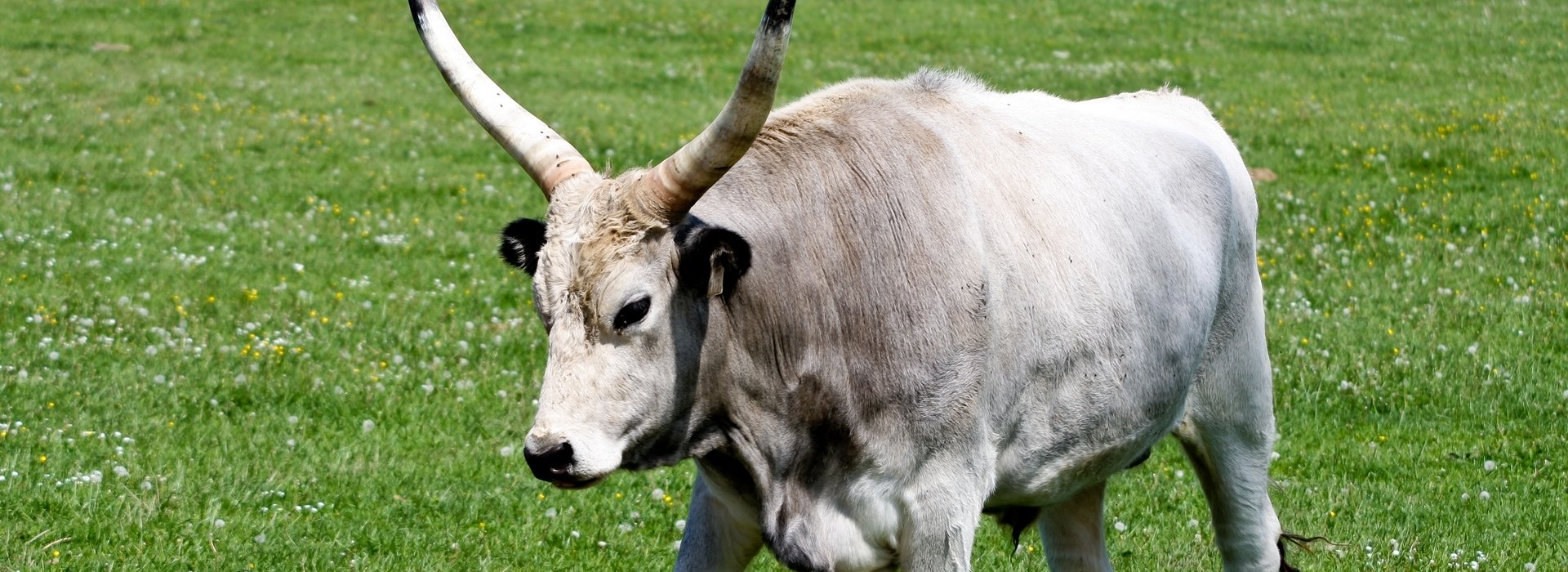 Szabadidő