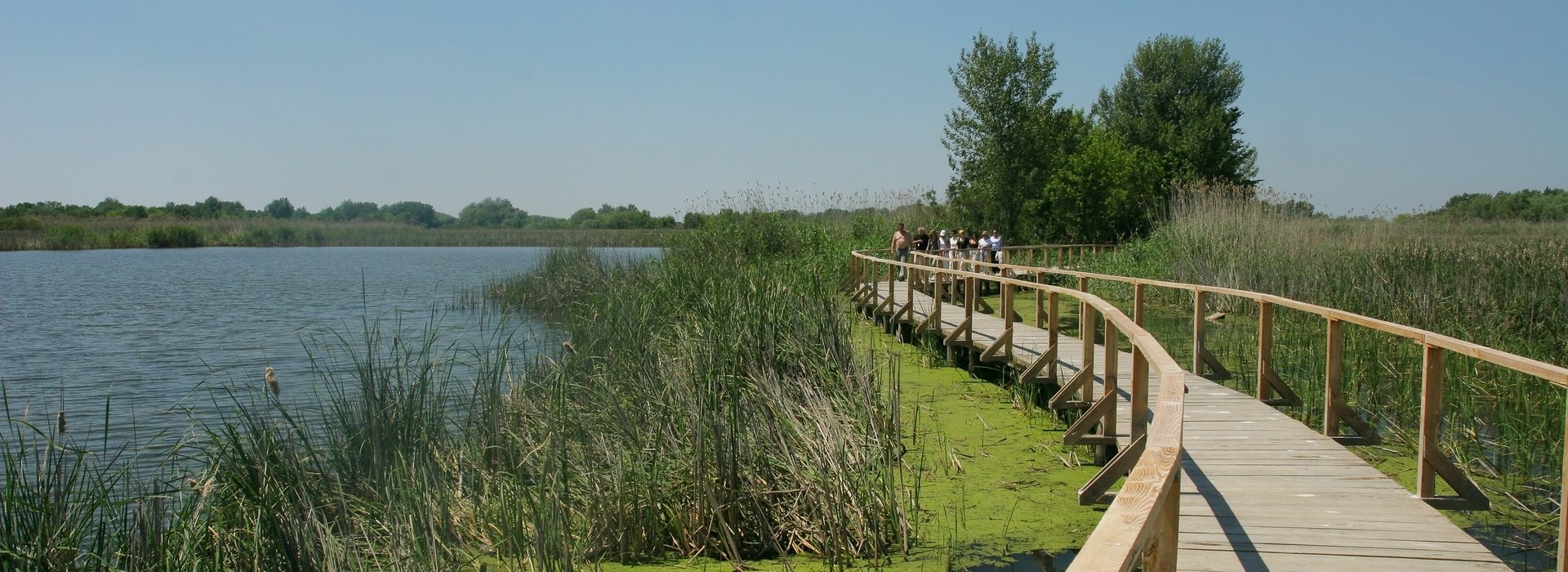 Kirándulások