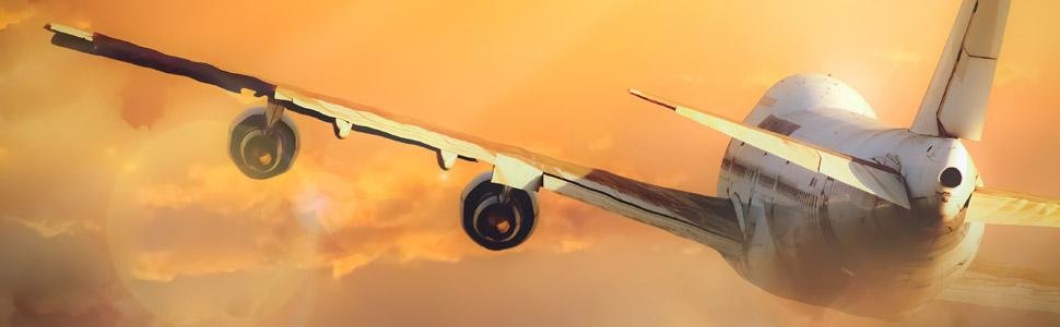 Flight ticket